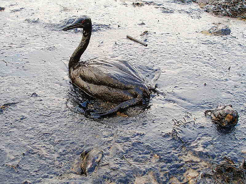 What Directors Can Learn from BP Crisis